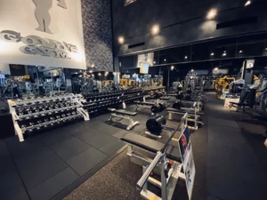ゴールドジム 富士静岡（フランチャイズ店　OPEN 24 HOUR）の店舗写真